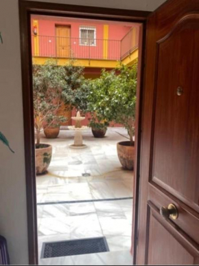 Relator, Seville